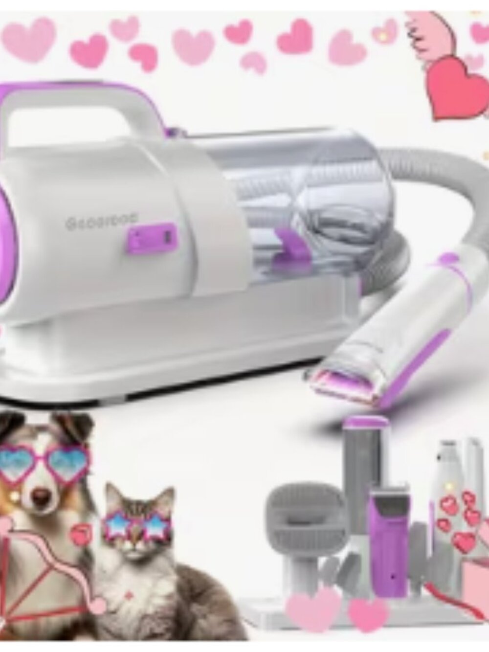 PETS: GROOMING SET FOR DOGS & CATS